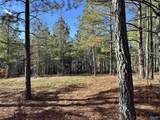 5.61 +/- Acres Hwy 9 - Photo 17