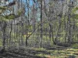 5.61 +/- Acres Hwy 9 - Photo 29