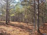 5.61 +/- Acres Hwy 9 - Photo 3
