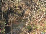 5.61 +/- Acres Hwy 9 - Photo 4
