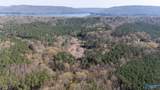 20.6 Acres Murphy Hill Road - Photo 10