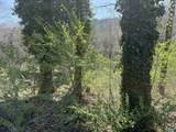506 County Road 882 - Photo 13