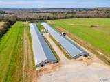 875 County Road 132 - Photo 10