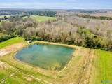 875 County Road 132 - Photo 11