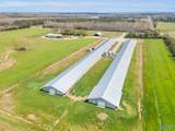 875 County Road 132 - Photo 14