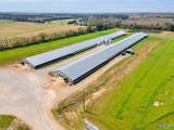 875 County Road 132 - Photo 8