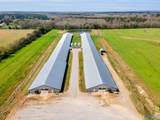 875 County Road 132 - Photo 9