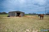 325 Stevenson Road - Photo 43