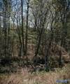 534 Wolf Trace - Photo 38