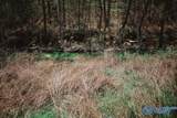 534 Wolf Trace - Photo 39