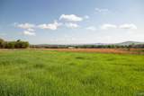 16.6 Acres Dug Hill Road - Photo 10