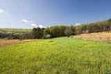 16.6 Acres Dug Hill Road - Photo 12