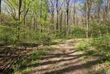 16.6 Acres Dug Hill Road - Photo 14