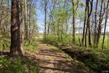 16.6 Acres Dug Hill Road - Photo 17