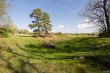 16.6 Acres Dug Hill Road - Photo 18