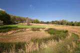 16.6 Acres Dug Hill Road - Photo 19