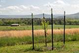 16.6 Acres Dug Hill Road - Photo 23