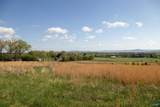 16.6 Acres Dug Hill Road - Photo 5