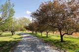 16.6 Acres Dug Hill Road - Photo 6