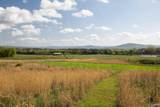 16.6 Acres Dug Hill Road - Photo 7