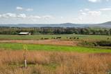 16.6 Acres Dug Hill Road - Photo 8