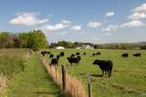 16.6 Acres Dug Hill Road - Photo 9