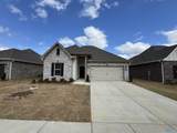 16702 Ted Childs Drive - Photo 1
