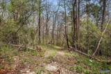 4789 County Road 29 - Photo 44