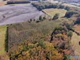17.82 acres County Road 67 - Photo 1