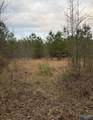 66 Acres County Road 865 - Photo 4