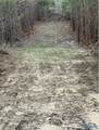 66 Acres County Road 865 - Photo 5
