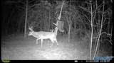 66 Acres County Road 865 - Photo 6