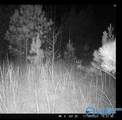 66 Acres County Road 865 - Photo 7