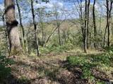 Lot 12 Christopher Road - Photo 10