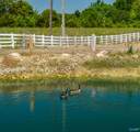 29200 Upper Elkton Road - Photo 41