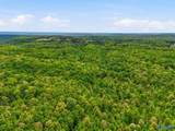 6651 County Road 107 - Photo 39