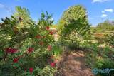 2417 Sunset Strip - Photo 25