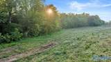 20+/- Alabama Highway 71 - Photo 4