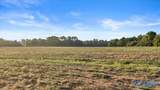 20+/- Alabama Highway 71 - Photo 6
