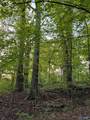 475 Old Elkton Pike - Photo 11