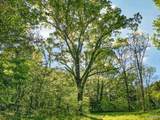 475 Old Elkton Pike - Photo 14