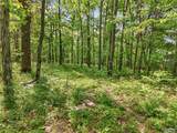 475 Old Elkton Pike - Photo 15