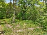 475 Old Elkton Pike - Photo 16