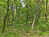 475 Old Elkton Pike - Photo 17