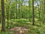 475 Old Elkton Pike - Photo 19