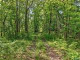 475 Old Elkton Pike - Photo 21
