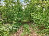 475 Old Elkton Pike - Photo 23