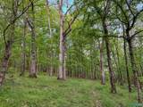 475 Old Elkton Pike - Photo 6