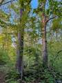 475 Old Elkton Pike - Photo 7