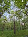 475 Old Elkton Pike - Photo 8